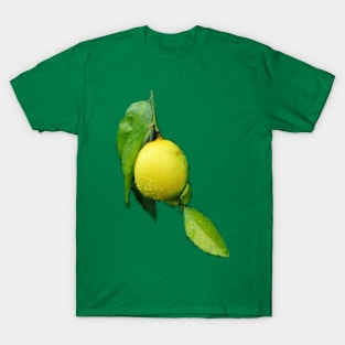 The Lemon T-Shirt